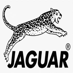 Jaguár