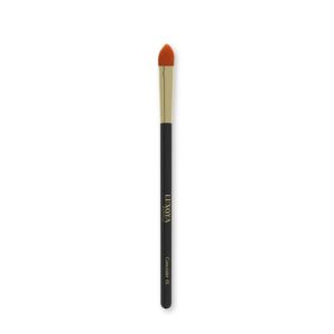 LUXOYA SMINKECSET CONCEALER 01
