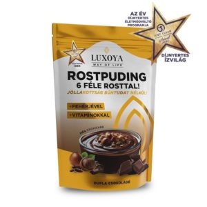 LUXOYA FIBER PUDDING DOUBLE-CHOCO 300G
